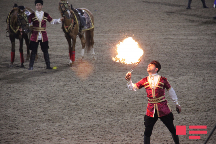 Qarabağ atları Böyük Britaniyada nümayiş etdirilib -  FOTOLAR