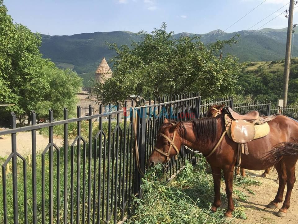 Ermənilər xarici turistləri Qarabağa belə    CƏLB EDİR (FOTOLAR-VİDEO)