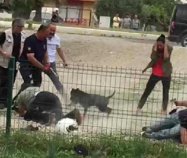 Narkotiklərə Qarşı Mübarizə İdarəsinin keçmiş rəisinin oğlu həbs olundu   - FOTO + VİDEO 