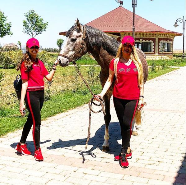 Məleykə Əsədovaya bahalı ərəb atı hədiyyə olundu   - FOTO-VİDEO