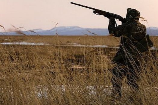 Qanunsuz 28 ədəd ördək və qaşqaldaq ovlayanlar saxlanıldı