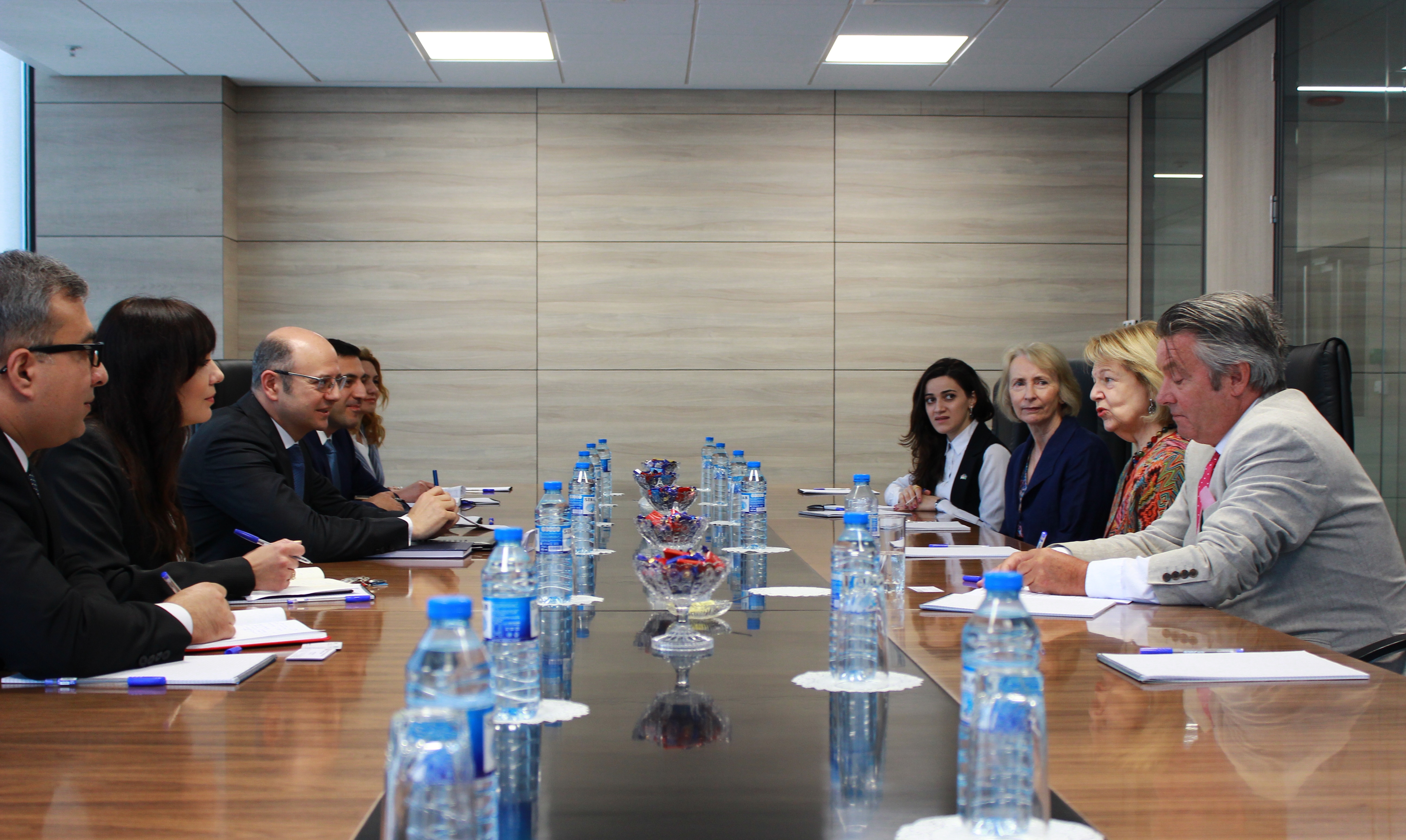 Pərviz Şahbazov Baronessa Emma Nikolsonu  qəbul etdi - FOTO