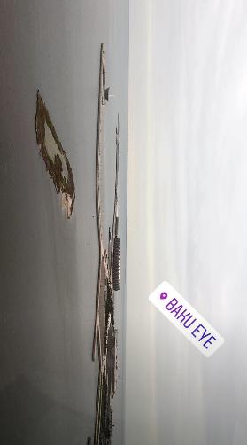 Alişan həyat yoldaşı ilə   BAKIYA GƏLDİ - FOTOLAR