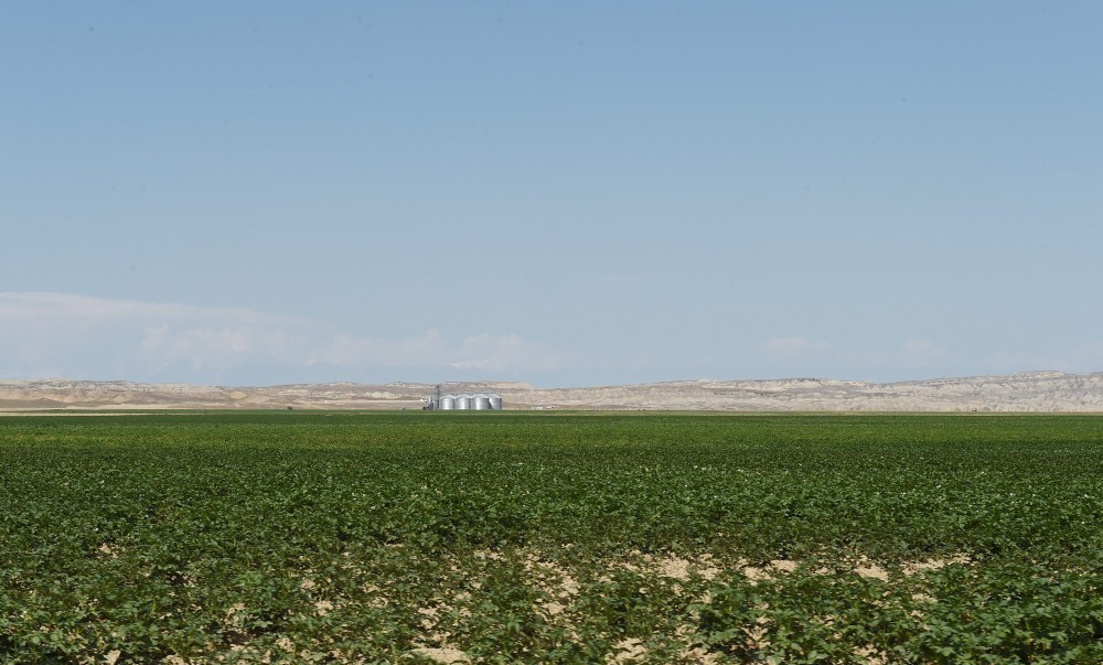Dövlət başçısı Region Agro MMC-nin açılışında    - YENİLƏNİB-FOTOLAR