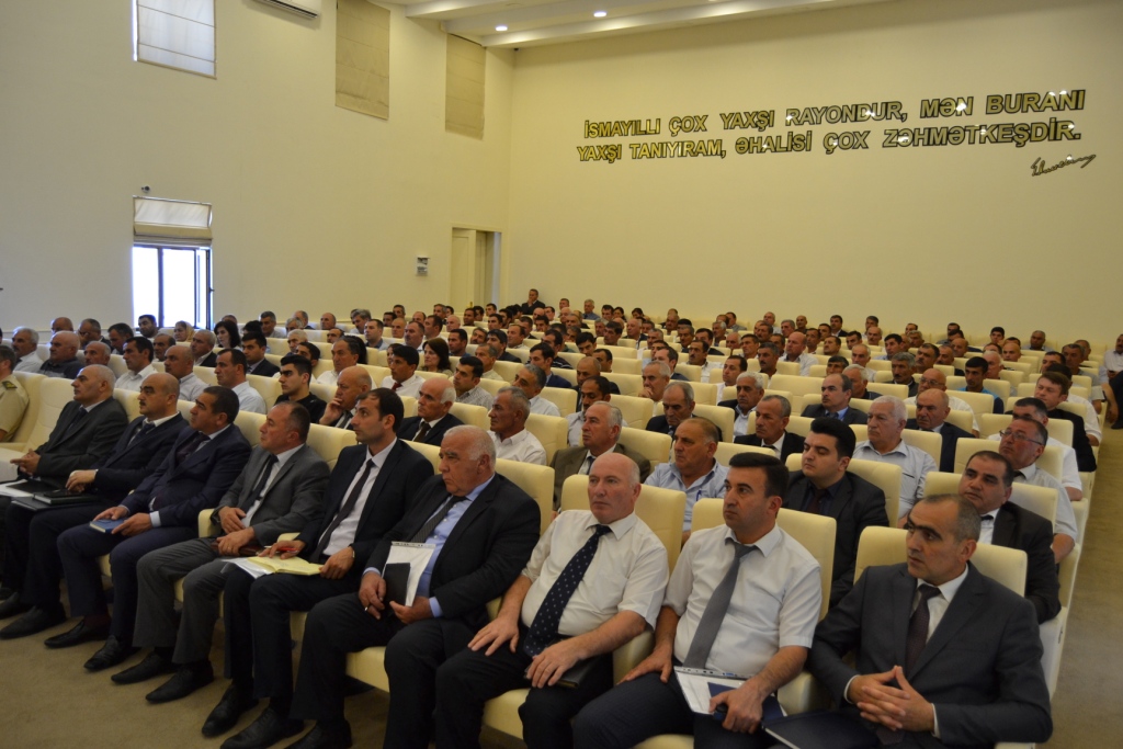 Ağacəkmə kampaniyasına başlanılacaq    - FOTOLAR