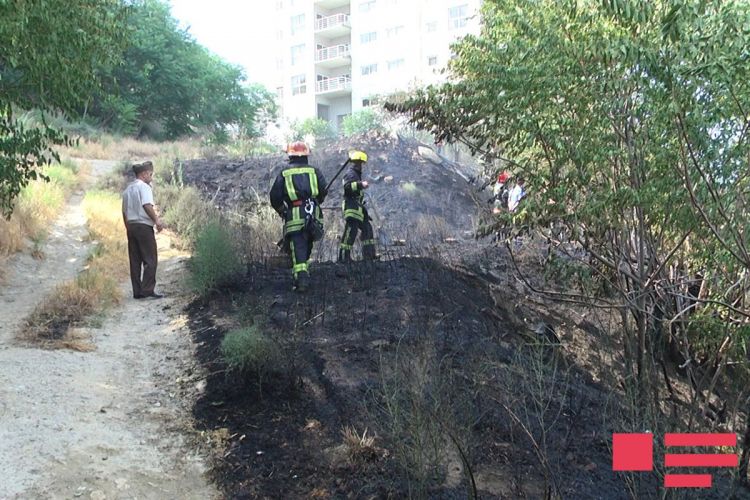 Bakının mərkəzindəki yanğınla bağlı      FHN məlumat yaydı (YENİLƏNİB-FOTOLAR)