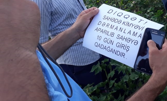 Pambıq tarlalarına giriş    QADAÄžAN EDİLDİ - FOTOLAR