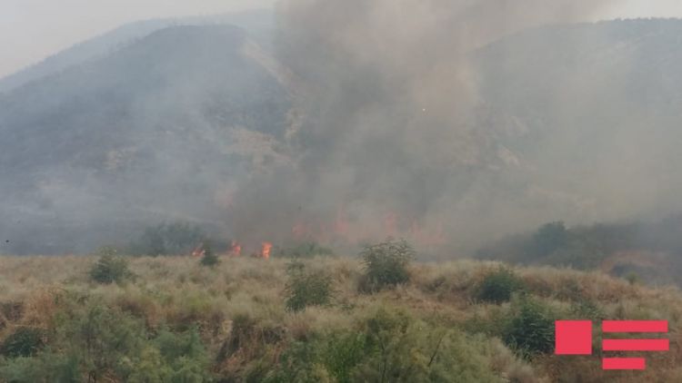Göyçayda güclü yanğın    - FOTO
