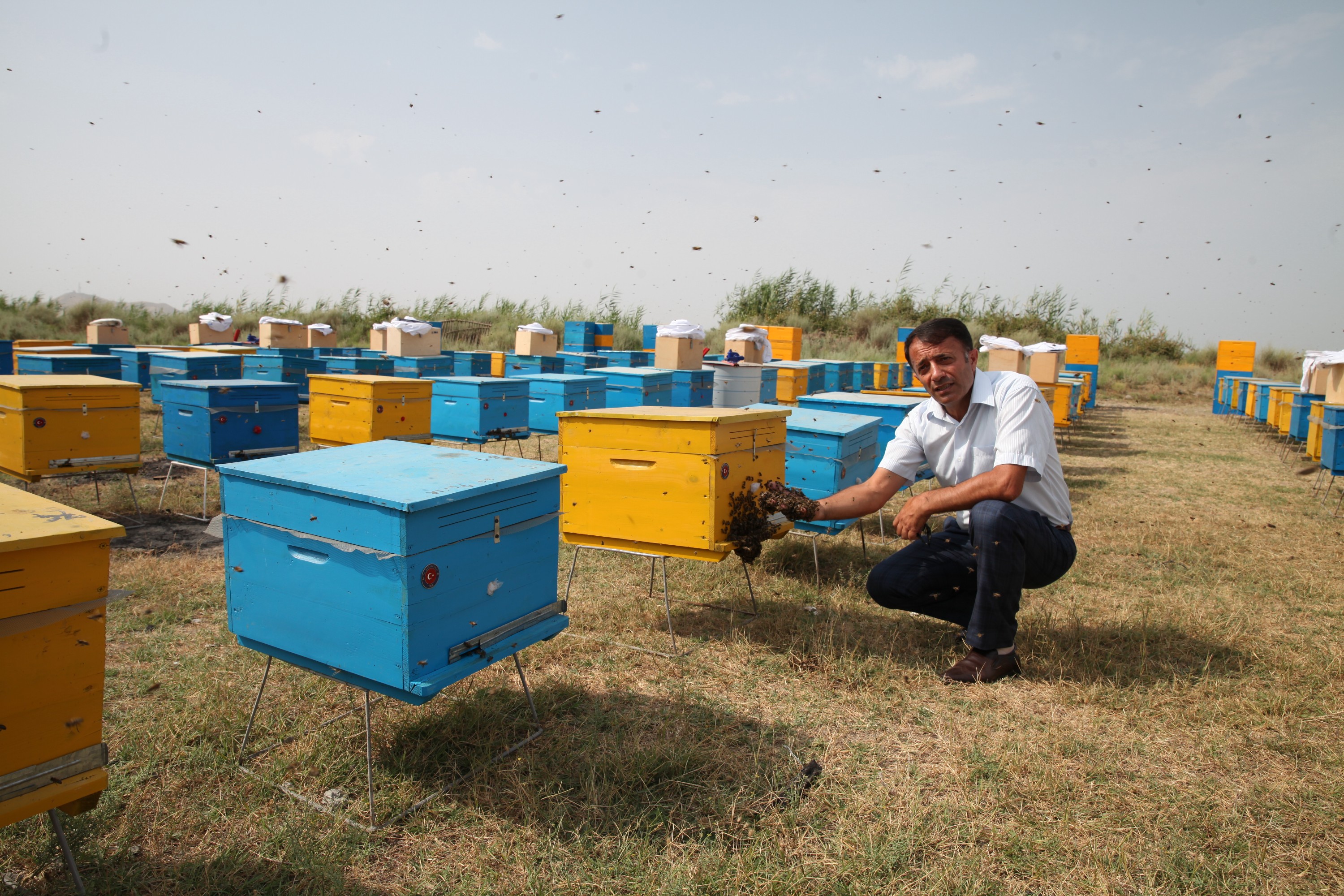 Nazir arıçılarla görüşdü -  FOTOLAR