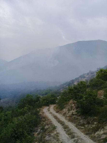  Altıağac Milli Parkında yanğın davam edir  - FOTO