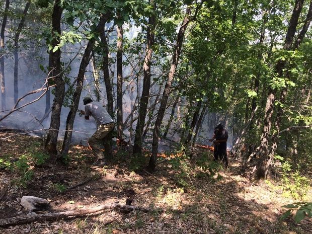  Altıağac Milli Parkında yanğın davam edir  - FOTO