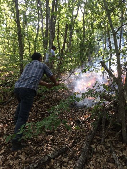  Altıağac Milli Parkında yanğın davam edir  - FOTO