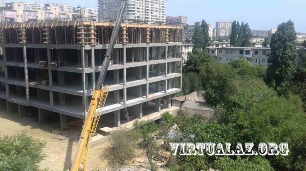 Asif Əsgərovun yaxın adamı ağacları kəsdirdi -  Yerində bina tikir (FOTOLAR)
