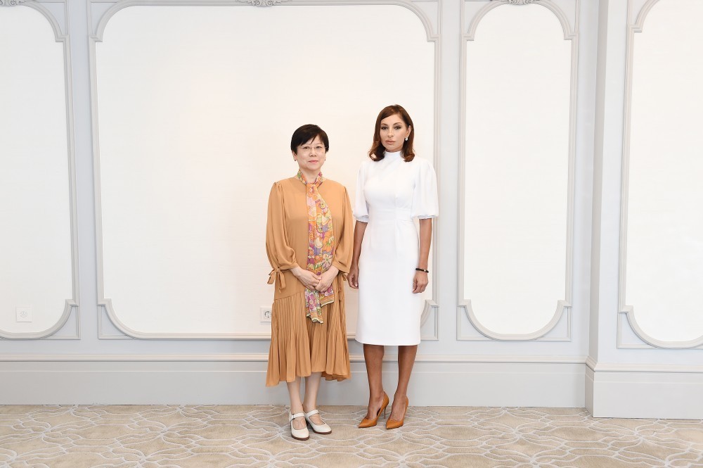 Mehriban Əliyeva Çinin nümayəndə heyəti ilə görüşdü   - FOTOLAR