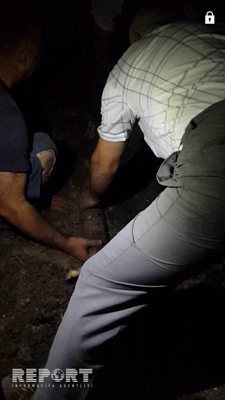 Azərbaycanda ata ölən oğlunu xəstəxananın həyətində basdırdı -  FOTOLAR