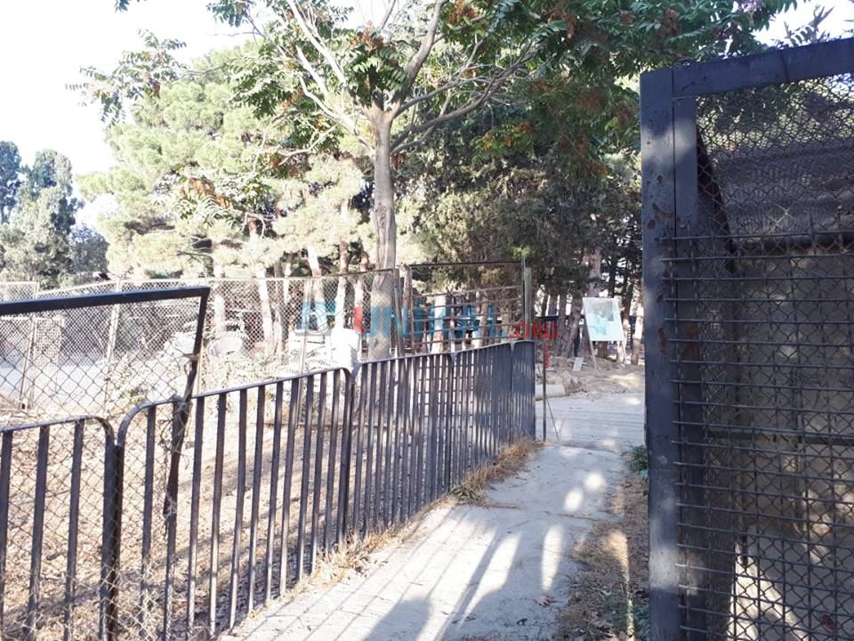 Bu tarixdən Bakı Zooparkı bağlanır     - FOTOLAR