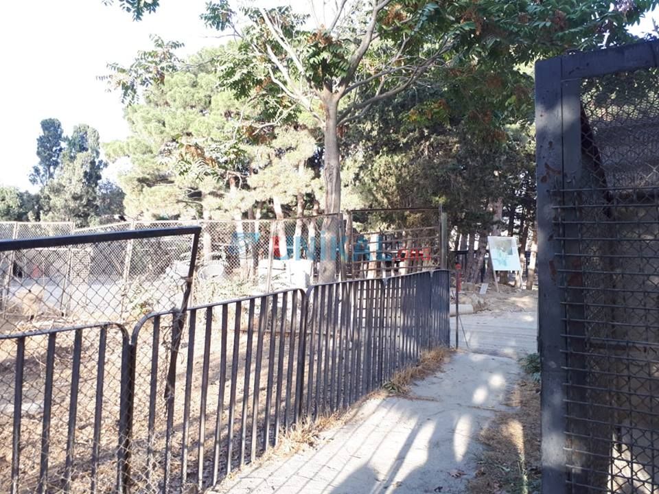 Bu tarixdən Bakı Zooparkı bağlanır     - FOTOLAR