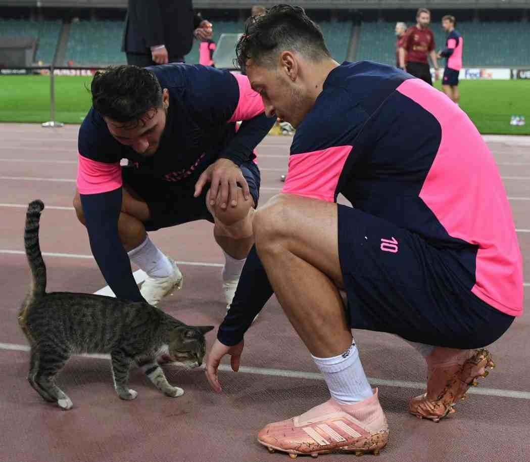 Özilin Bakıda pişiklə çəkilən fotosu  yarım milyon like TOPLADI (FOTOLAR)