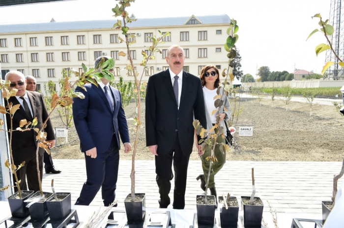 Prezident və birinci xanımın Quba səfərindən    FOTOLAR