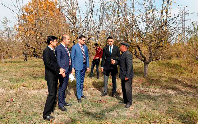 Azərbaycanda 125 ailə üçün təsərrüfatlar yaradılır: Sosial bağlar layihəsi  - FOTOLAR