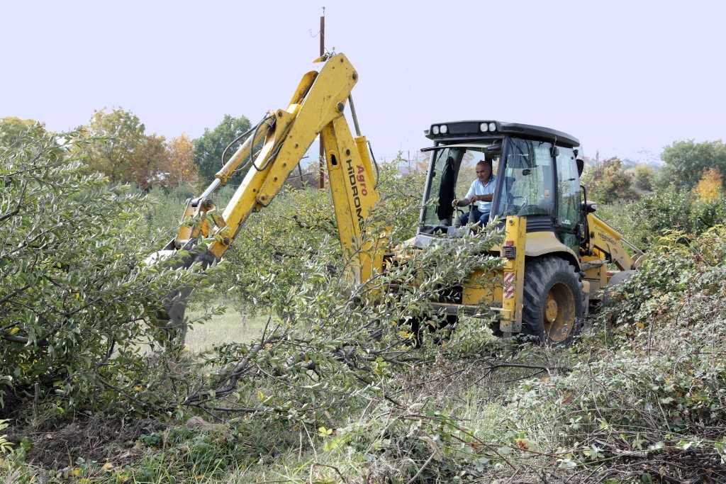 Azərbaycanda 125 ailə üçün təsərrüfatlar yaradılır: Sosial bağlar layihəsi  - FOTOLAR