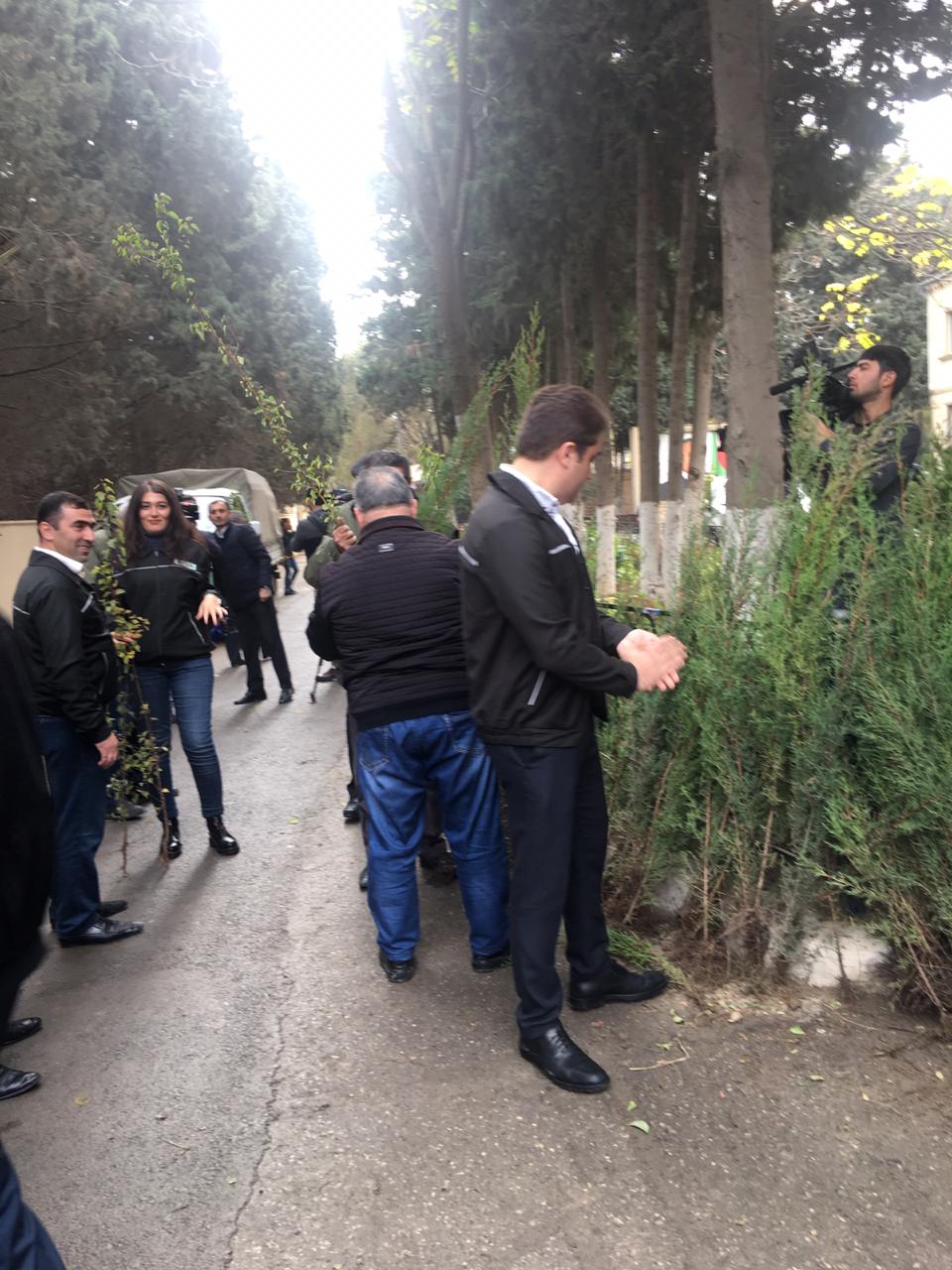 Vətəndaşlara pulsuz tinglər paylanıldı    - FOTOLAR