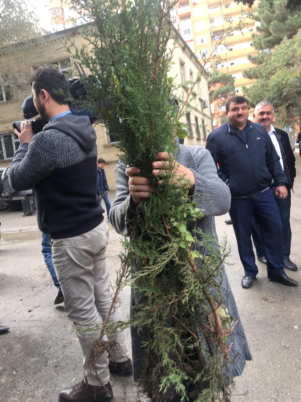 Vətəndaşlara pulsuz tinglər paylanıldı    - FOTOLAR