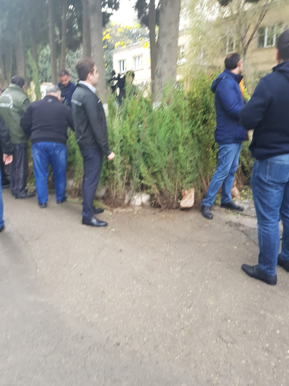 Vətəndaşlara pulsuz tinglər paylanıldı    - FOTOLAR