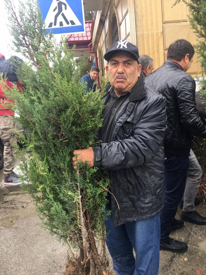 Vətəndaşlara 8000-ə yaxın ağac tingləri paylanıldı    - FOTOLAR