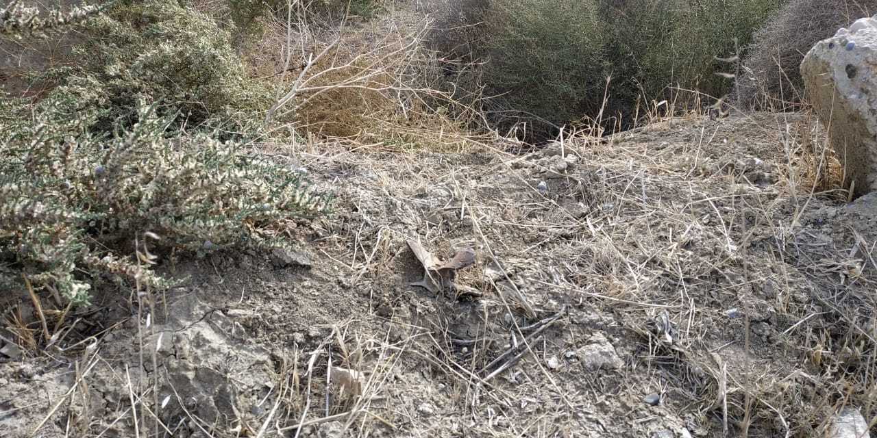 Sumqayıt Texnologiyalar Parkında 7 top mərmisi tapıldı - FOTOLAR