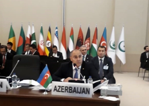 Səfər Mehdiyev beynəlxalq toplantıda nailiyyətlərdən danışdı - FOTO